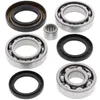 All Balls Rear Differential Bearing  Kit Honda ATC250 TRX250