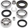 All Balls Rear Differential Bearing  Kit for Honda TRX350