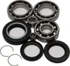 All Balls Rear Differential Bearing  Kit for Honda TRX350