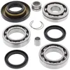 All Balls Rear Differential Bearing  Kit Honda Foreman 400-450