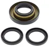 All Balls Rear Differential Seal Kit