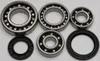 AB Rear Differential Bearing  Kit Kawasaki KLT160-185 KLF185