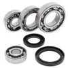 AB Rear Differential Bearing  Kit Kawasaki KLT160-185 KLF185