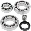 AB Rear Differential Bearing  Kit for Kawasaki Bayou 220-250