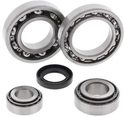 All Balls Rear Differential Bearing  Kit for Kawasaki Bayou 300