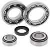 All Balls Rear Differential Bearing  Kit for Kawasaki Bayou 300