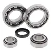All Balls Rear Differential Bearing  Kit for Kawasaki Bayou 300