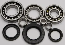 All Balls Rear Differential Bearing  Kit Kawasaki KLF300-400
