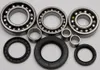 All Balls Rear Differential Bearing  Kit Kawasaki KLF300-400