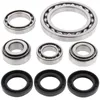 AB Front Differential Bearing  Kit Arctic Cat Suzuki 250-500