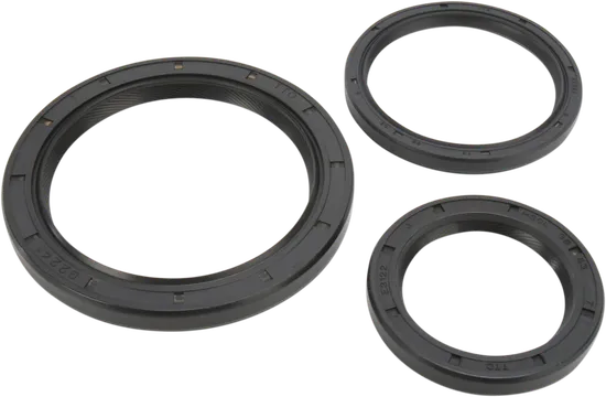 Moose Rear Axle Differential Seals Only Kit
