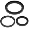 All Balls Rear Differential Seal Kit