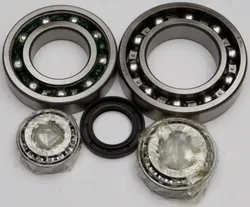 All Balls Rear Differential Bearing  Kit for Kawasaki Bayou 300