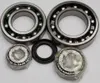 All Balls Rear Differential Bearing  Kit for Kawasaki Bayou 300