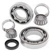 All Balls Rear Differential Bearing  Kit for Kawasaki Bayou 300
