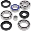 AB Rear Differential Bearing  Kit for Arctic Cat ATV 375-500