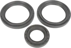 Moose Rear Axle Differential Seals Only Kit