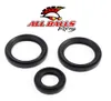 All Balls Rear Differential Seal Kit