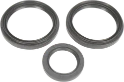 Moose Front Axle Differential Seals Only Kit