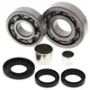 AB Front Differential Bearing  Kit for Polaris Magnum Xpedition