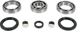 Moose Rear Differential Bearing Kit