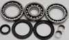 All Balls Rear Differential Bearing  Kit Polaris ATV 325-700