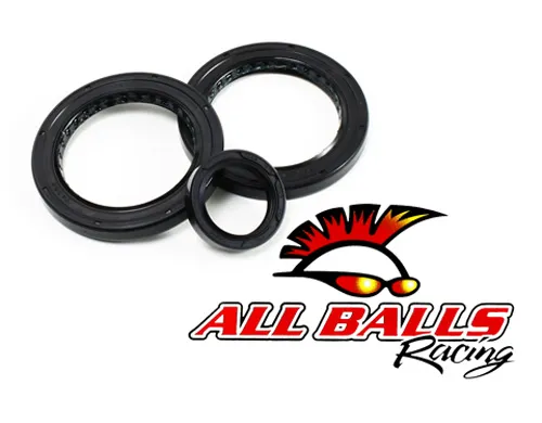 All Balls Rear Differential Seal Kit