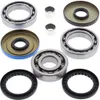 AB Rear Differential Bearing  Kit for Polaris Sportsman Magnum