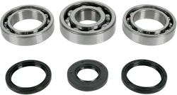 Moose Front Differential Bearing Kit