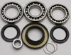 All Balls Rear Differential Bearing  Kit for Honda TRX500