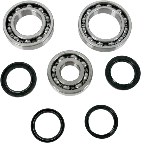 Moose Rear Differential Bearing Kit
