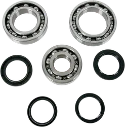 Moose Rear Differential Bearing Kit