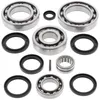 All Balls Rear Differential Bearing  Kit Kawasaki Suzuki ATV