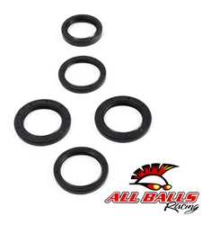 All Balls Rear Differential Seal Kit
