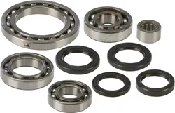 AB Rear Differential Bearing  Kit for Suzuki LTA500F LTF500F