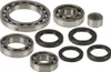 AB Rear Differential Bearing  Kit for Suzuki LTA500F LTF500F