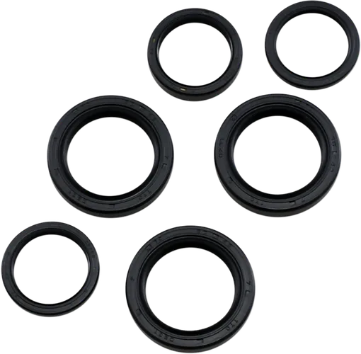 Moose Front Axle Differential Seals Only Kit