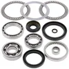 AB Front Differential Bearing  Kit Kawasaki Suzuki ATV 360-750
