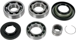 Moose Rear Differential Bearing Kit
