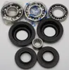 All Balls Rear Differential Bearing  Kit for Honda Rancher 420