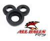 All Balls Rear Differential Seal Kit
