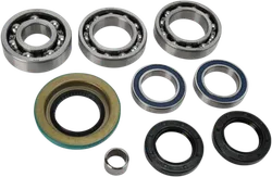 Moose Rear Differential Bearing Kit