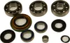 AB Front Differential Bearing  Kit Can-Am Bombardier