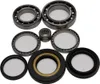All Balls Rear Differential Bearing  Kit for Honda Rancher 420
