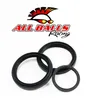 All Balls Rear Differential Seal Kit