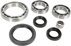 Moose Rear Differential Bearing Kit