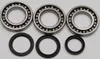AB Front Differential Bearing  Kit for Polaris ATV UTV 550-1000