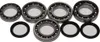 AB Front Differential Bearing &  Kit Polaris Sportsman 850 RZR 800