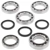 AB Front Differential Bearing &  Kit Polaris Sportsman 850 RZR 800