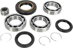 Moose Rear Differential Bearing Kit